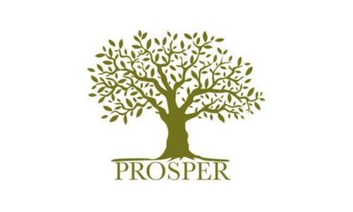 Project - Prosper
